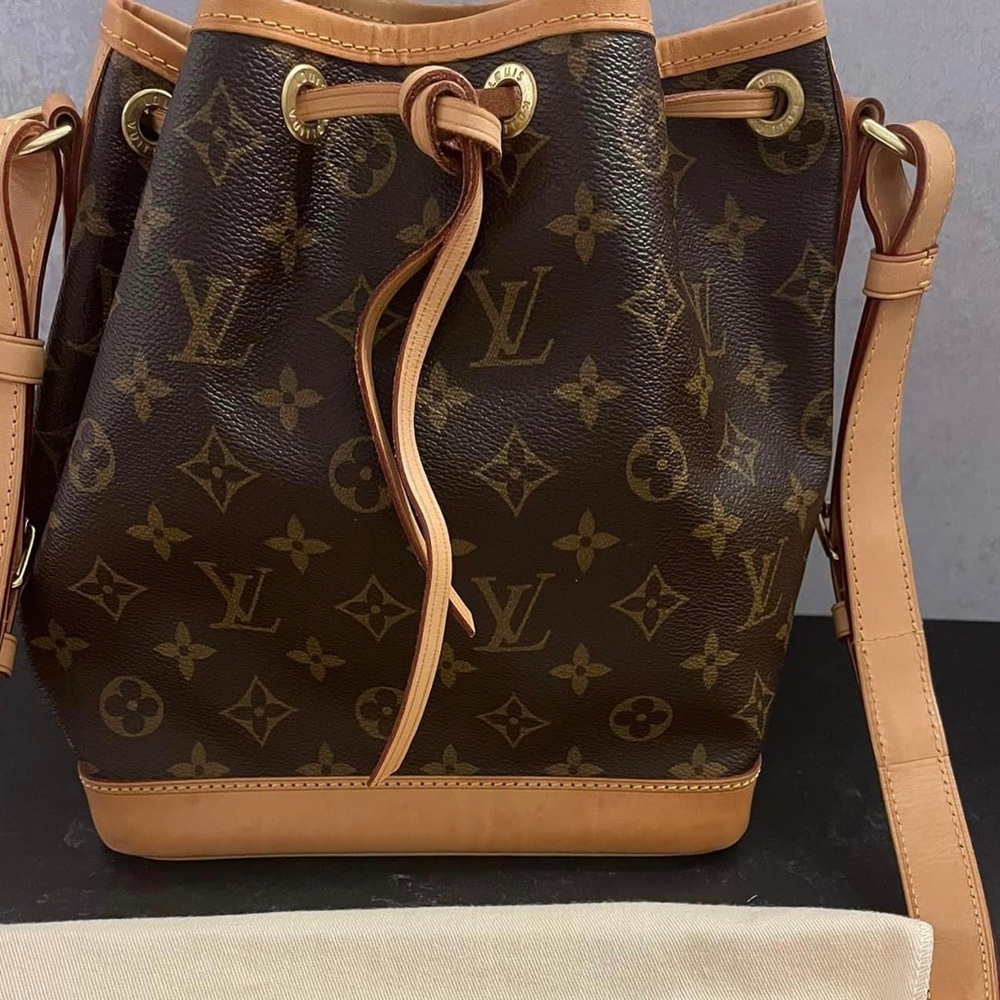 Louis Vuitton Noe BB